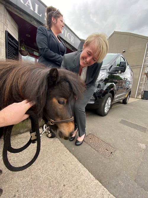 You are currently viewing Torbay: Patrick the therapy pony helps bereaved families