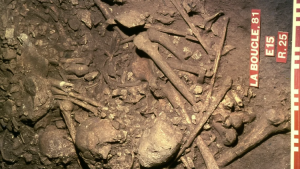 Ancient DNA reveals paternal link among male remains at Stone Age burial ground