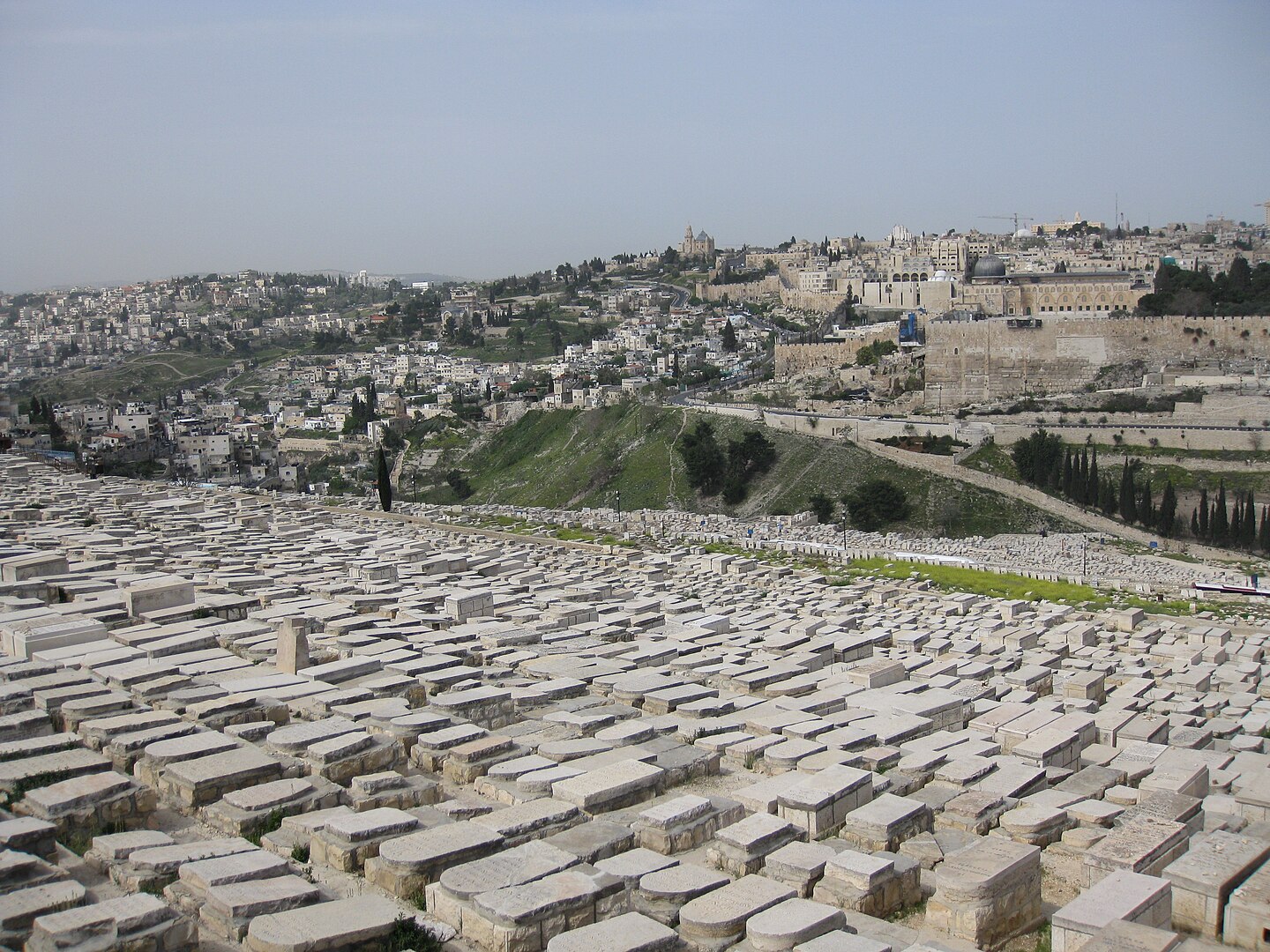 You are currently viewing Resting Places – Mount of Olives
