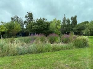 Mighty oaks from little acorns grow